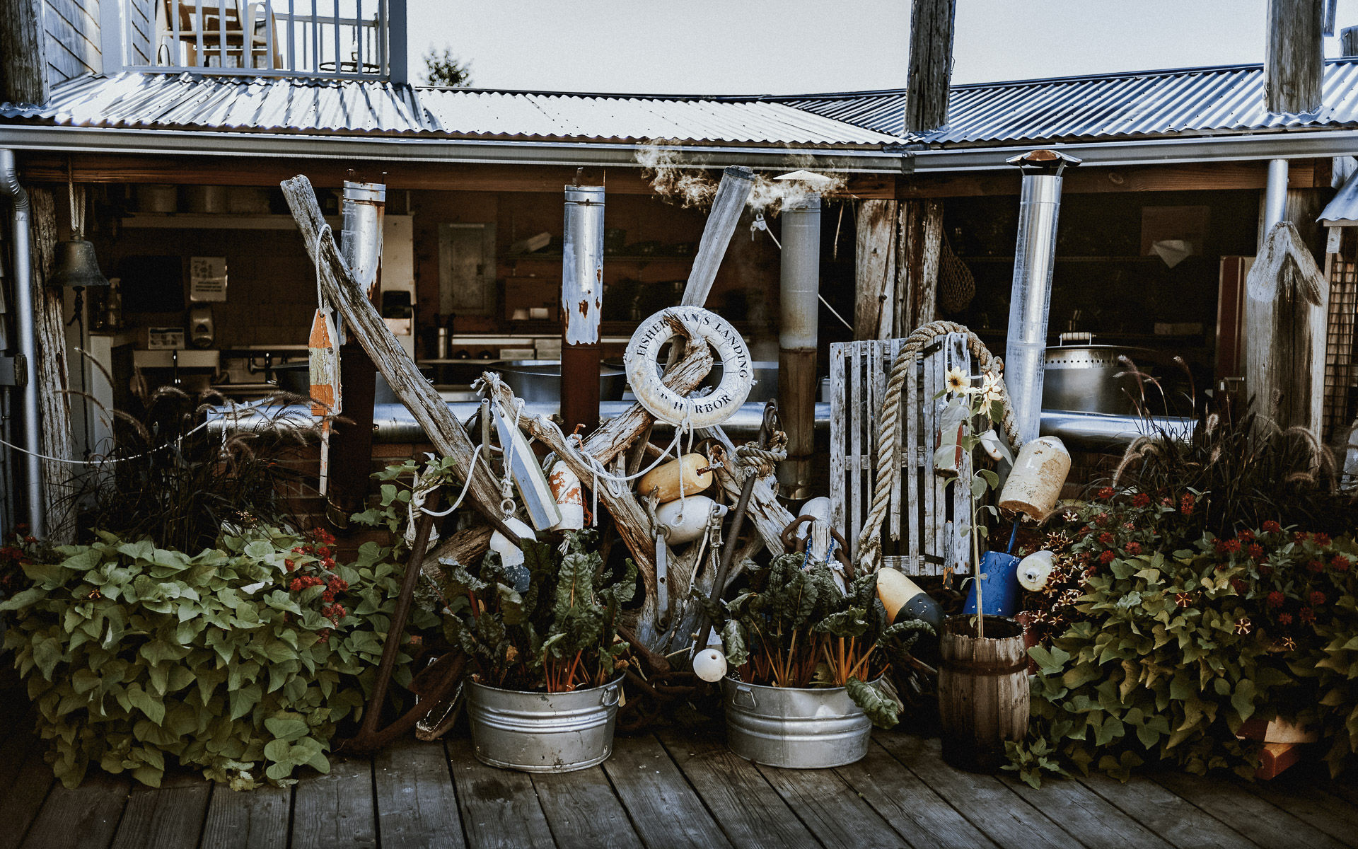 Twisted-oaks-studio-maine-bar-harbor-2019-7.jpg