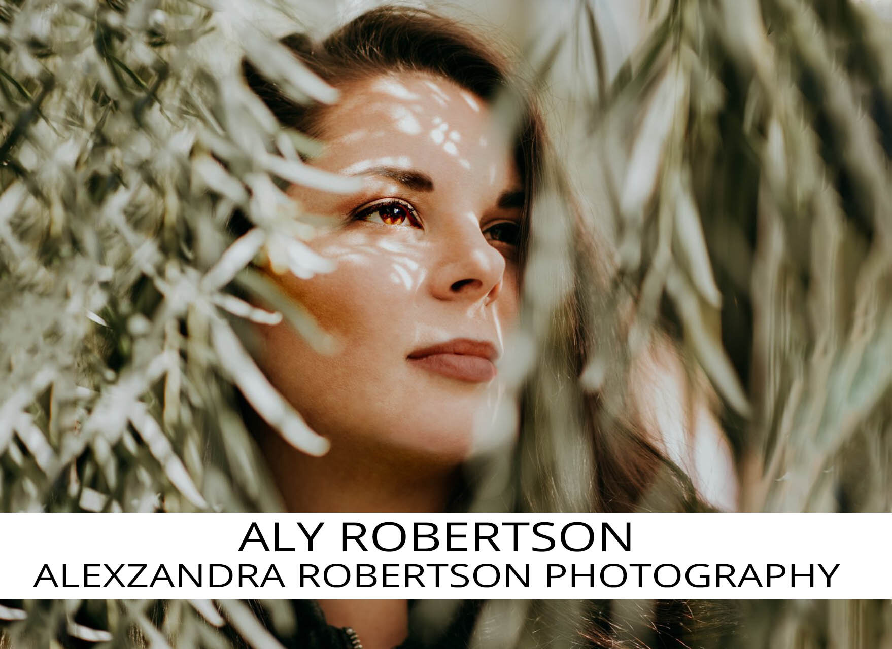 Aly-robertson-twisted-oaks-preset-feature.jpg