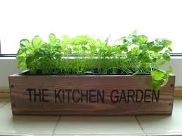 3. PLANT A GARDEN!