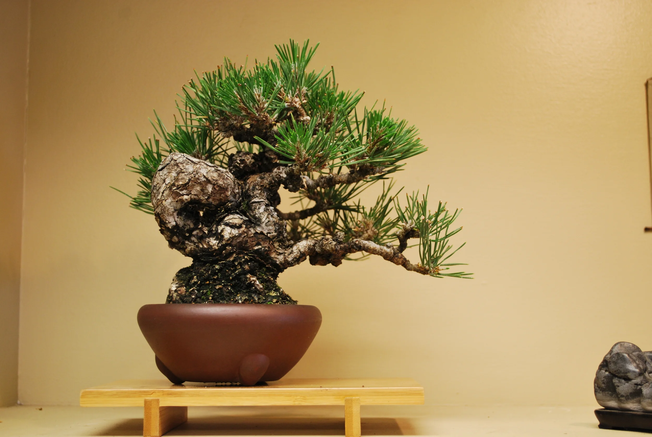 2013051110354.JPG