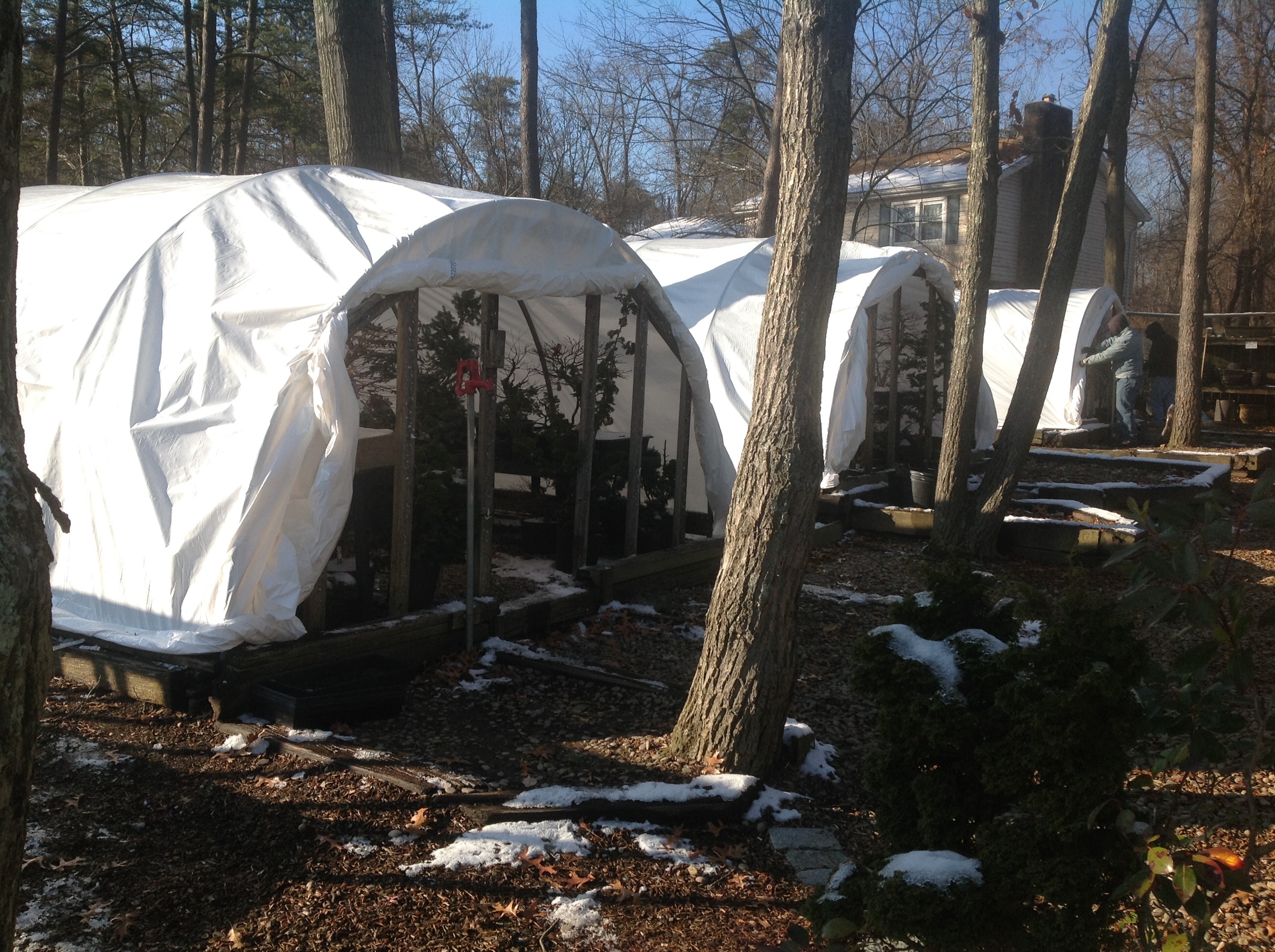  The hoop houses&nbsp;prepped for winter weather. 