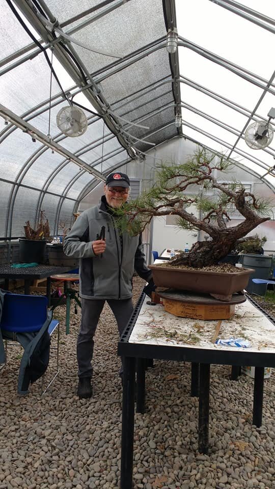 Woodstock Bonsai Workshop Jim Doyle Chase Rosade Tony Tickle  Nature's Way  Nursery