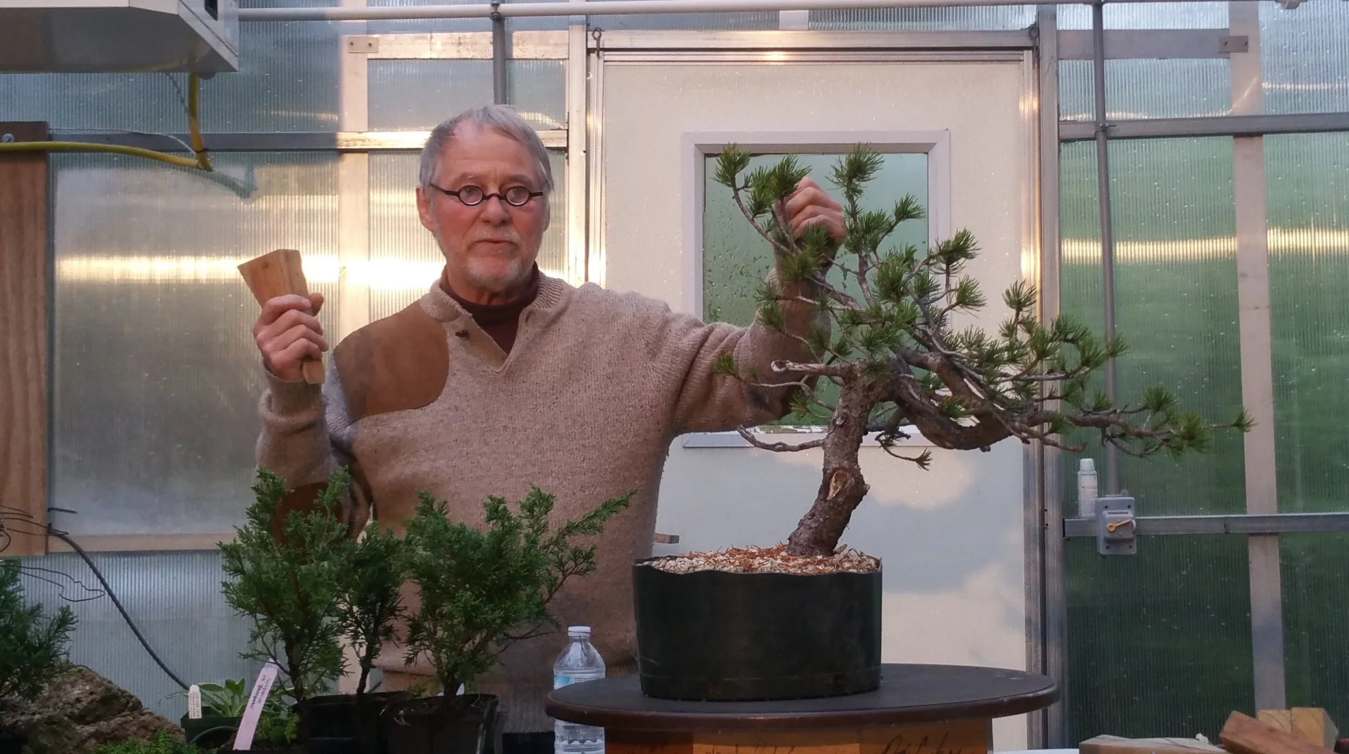 BONSAI CLASSES AND — Nature's Way Nursery