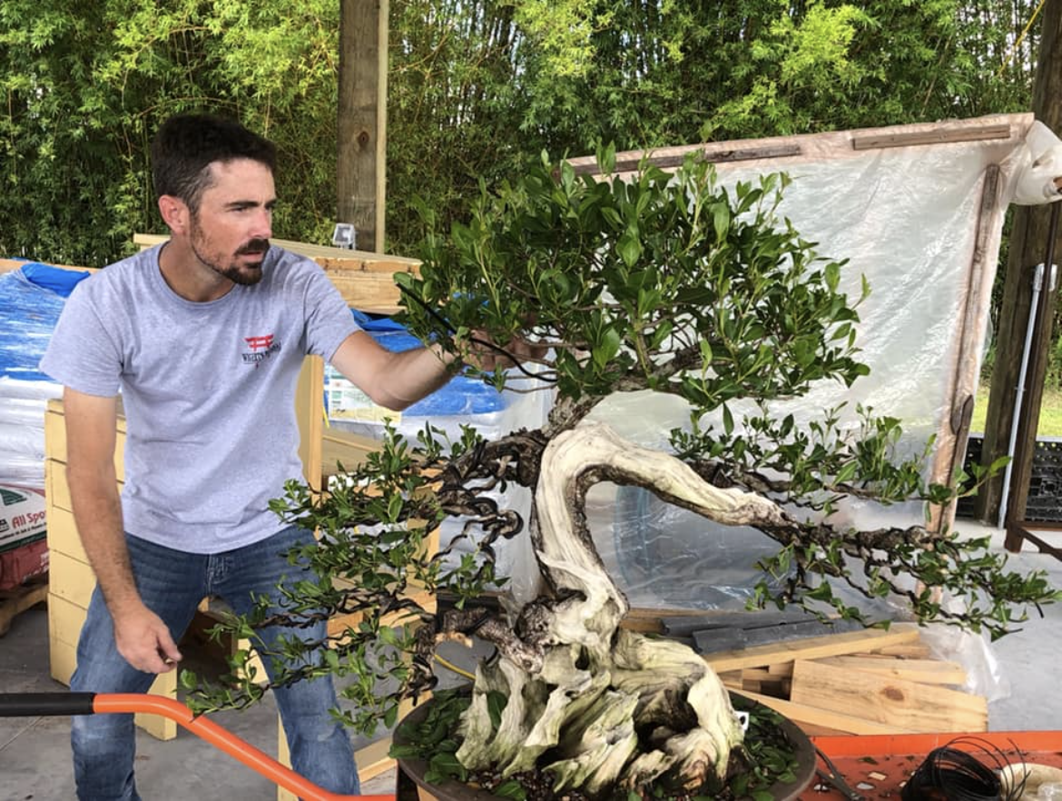 NATURE'S WAY NURSERY'S FALL FESTIVAL & SALE W/ MIKE LANE