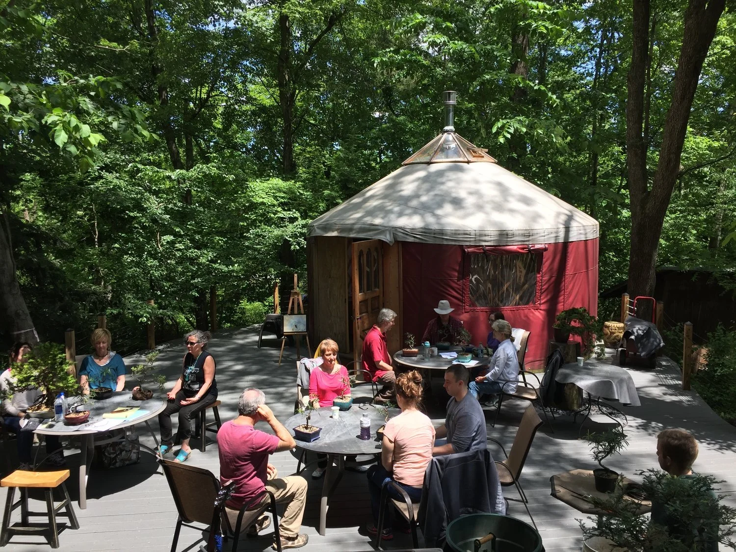 05/31/26 • MUSIC MEDITATION AND BONSAI w/ DR. ELIZABETH TISDELL & JIM DOYLE