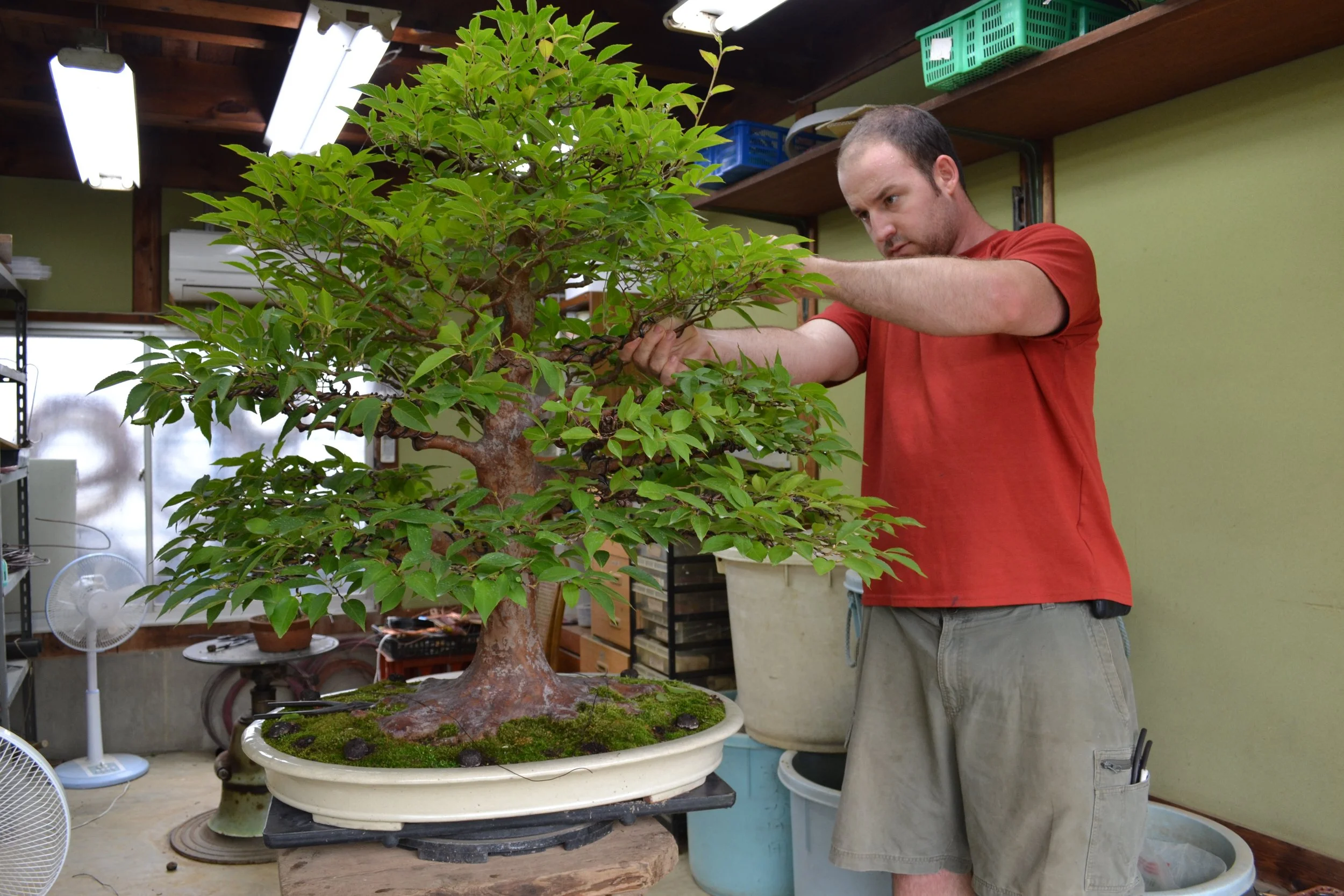 06/21/26 • *AZALEAS w/ OWEN REICH