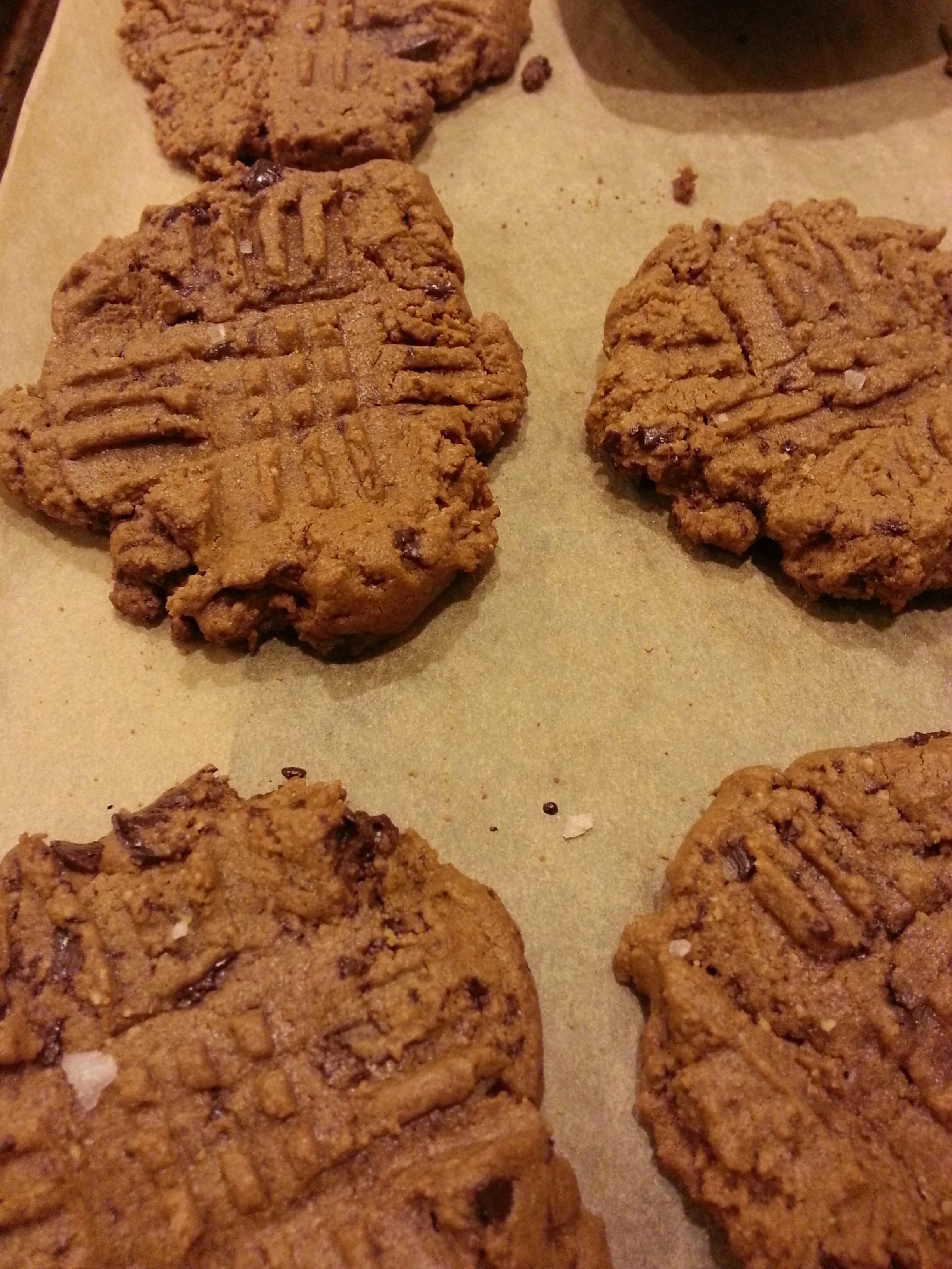 Double chocolate peanut butter cookies