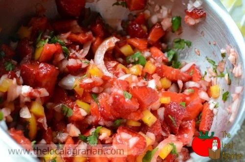 StrawberrySalsa_1_resize-500x331.jpg