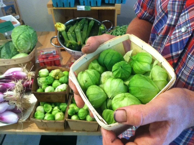 tomatillo.JPG