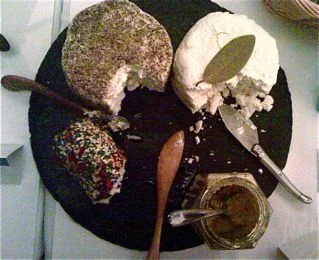 sampler.jpg