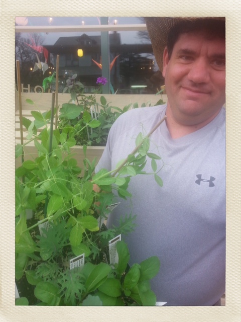 Veggie and Herb starts from Forrest Green Farm