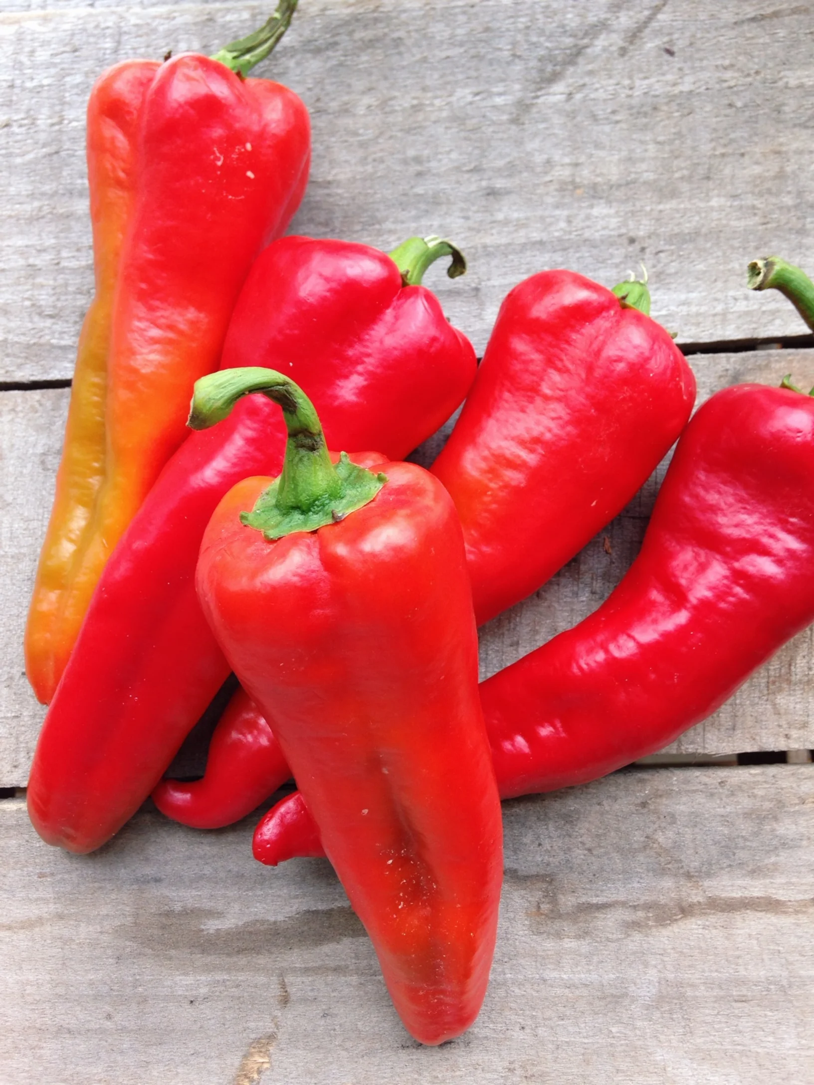 Carmen Peppers