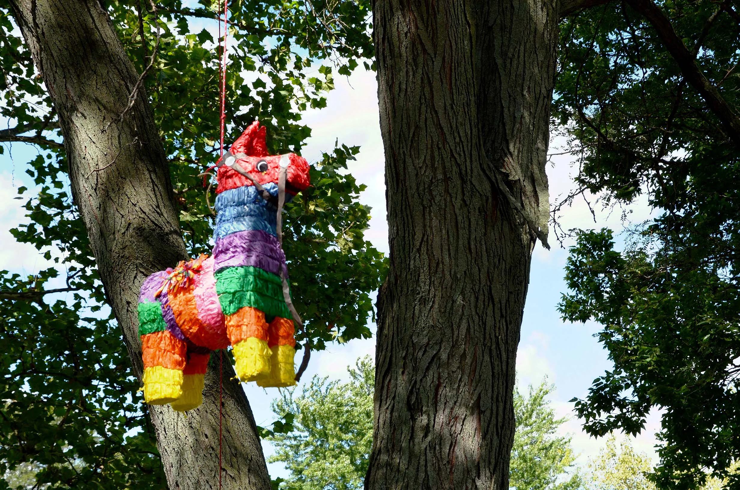 Pinata.jpg