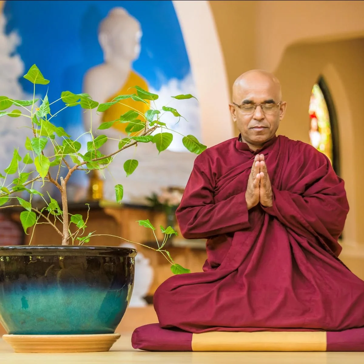 Buddhist Mediation Group