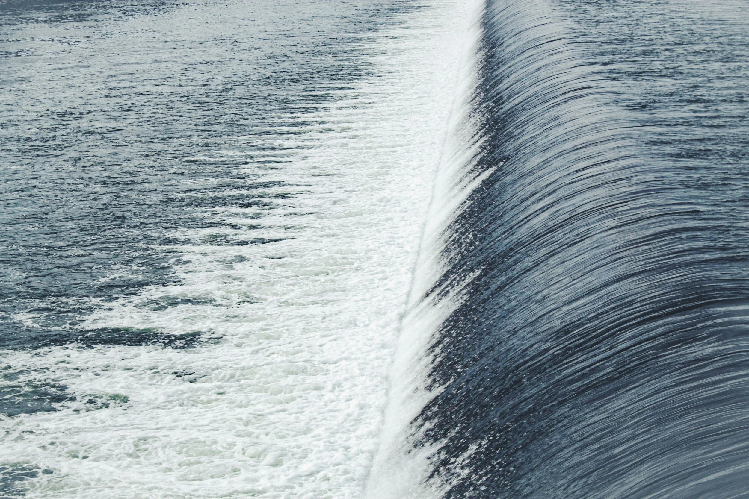 Friday Features: Fox River Ecosystem & Dams