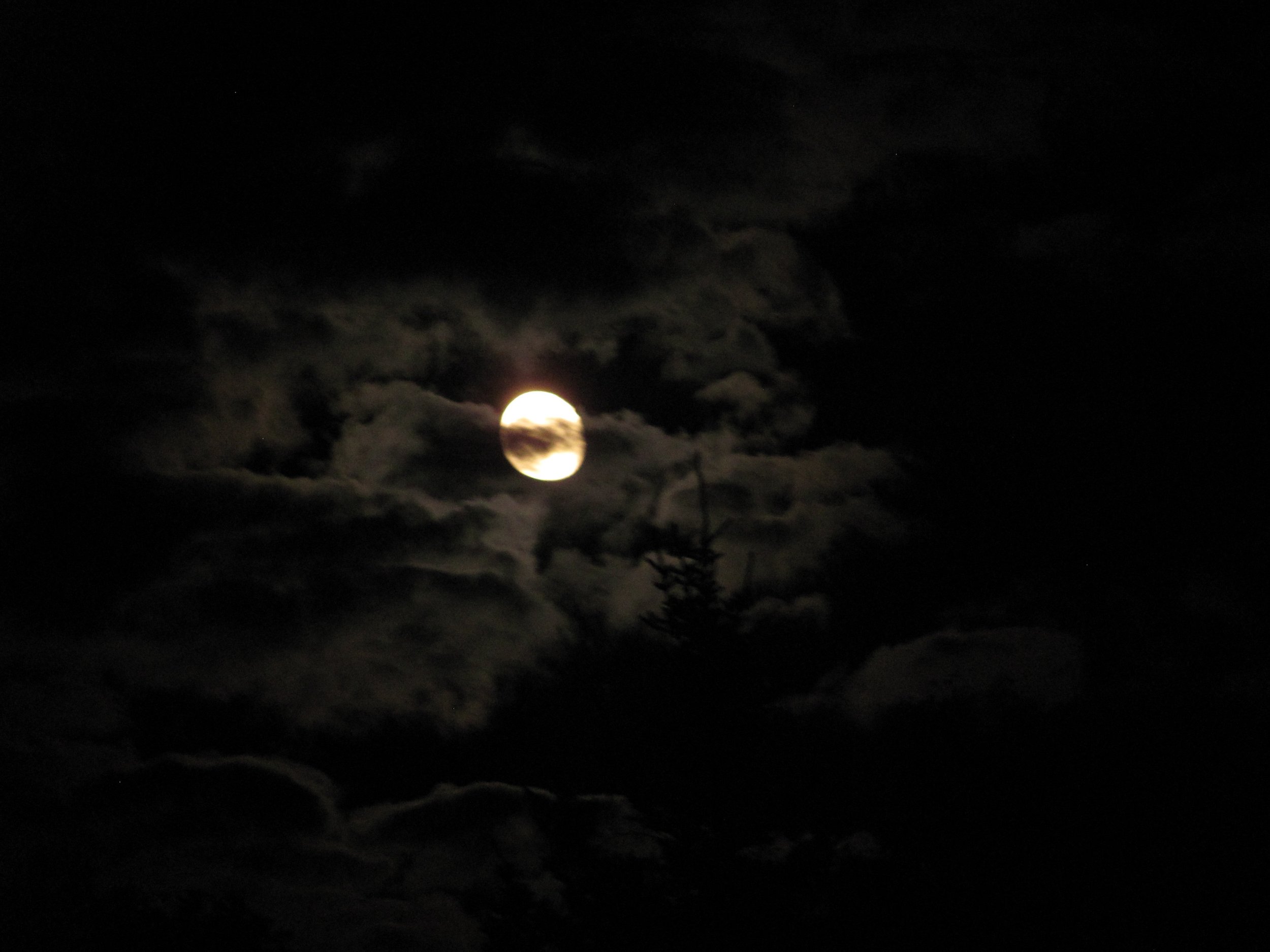 That bright orb is the moon. Kinda makes you wanna howl, no? 