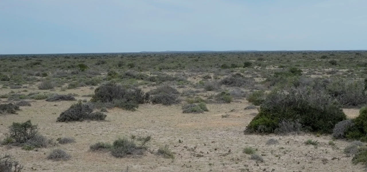 Bildschirmfoto 2012-11-04 um 04.22.34.jpg