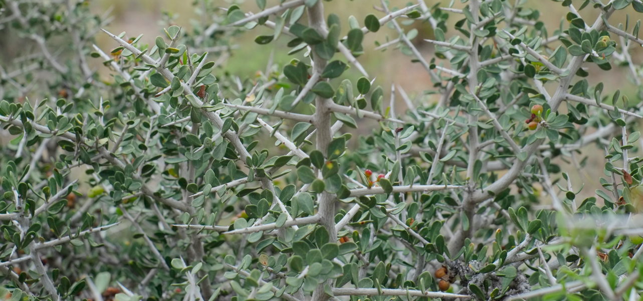 Bildschirmfoto 2012-11-04 um 04.22.16.jpg