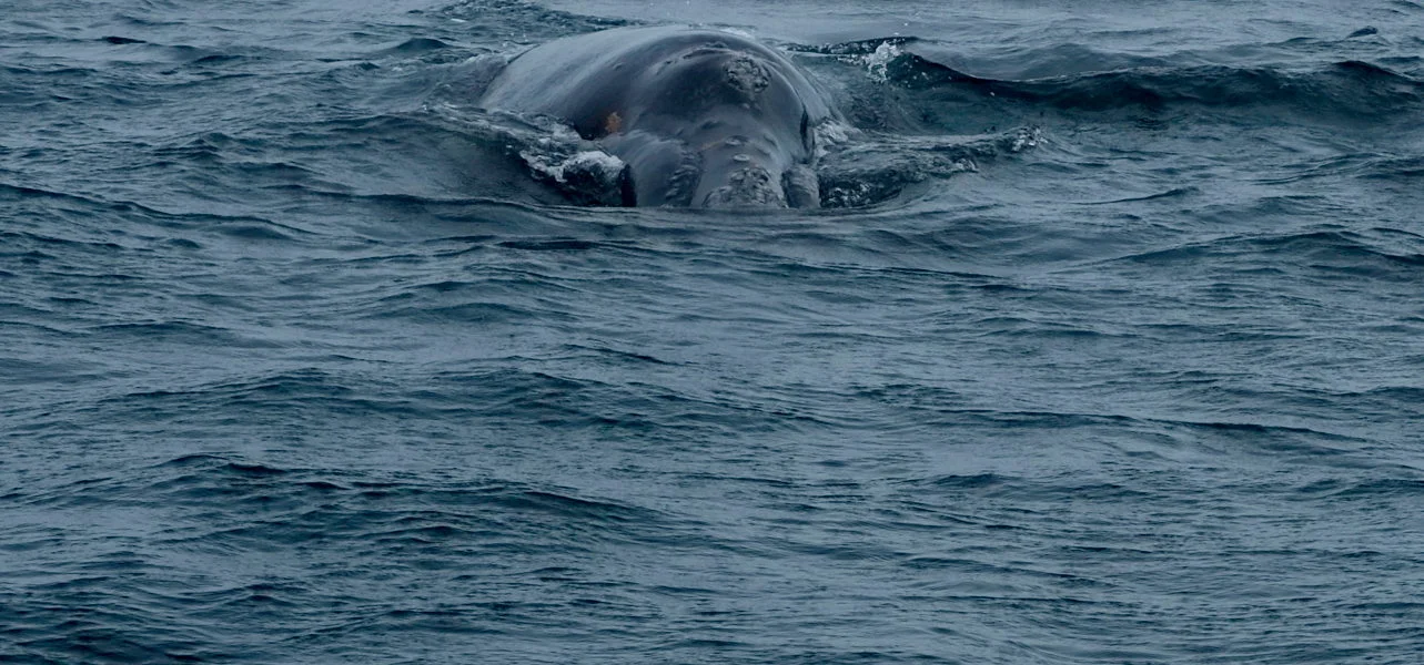 Bildschirmfoto 2012-11-04 um 04.23.53.jpg