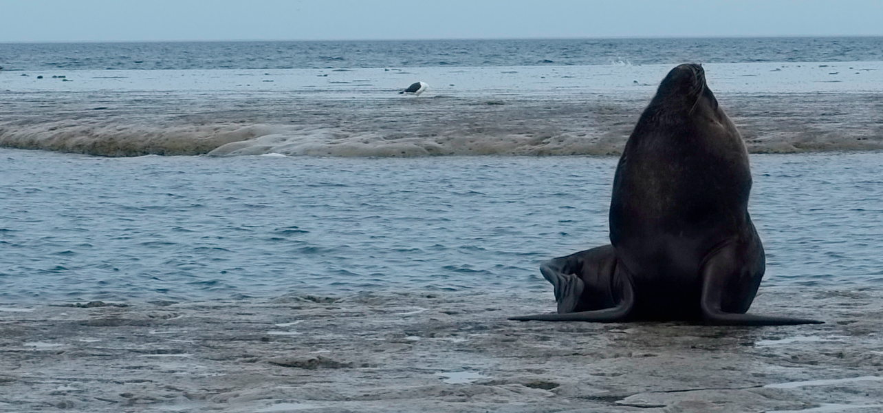 Bildschirmfoto 2012-11-04 um 04.24.34.jpg