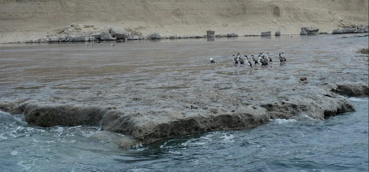 Bildschirmfoto 2012-11-04 um 04.24.56.jpg