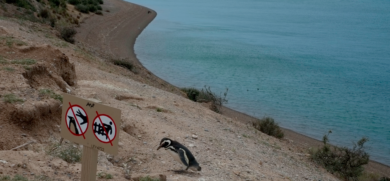 Bildschirmfoto 2012-11-04 um 04.41.03.png