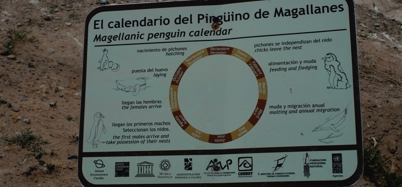 Bildschirmfoto 2012-11-04 um 04.43.16.png