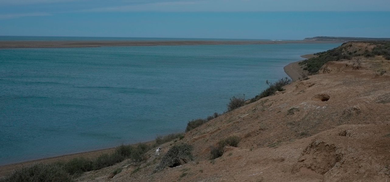 Bildschirmfoto 2012-11-04 um 04.43.31.png