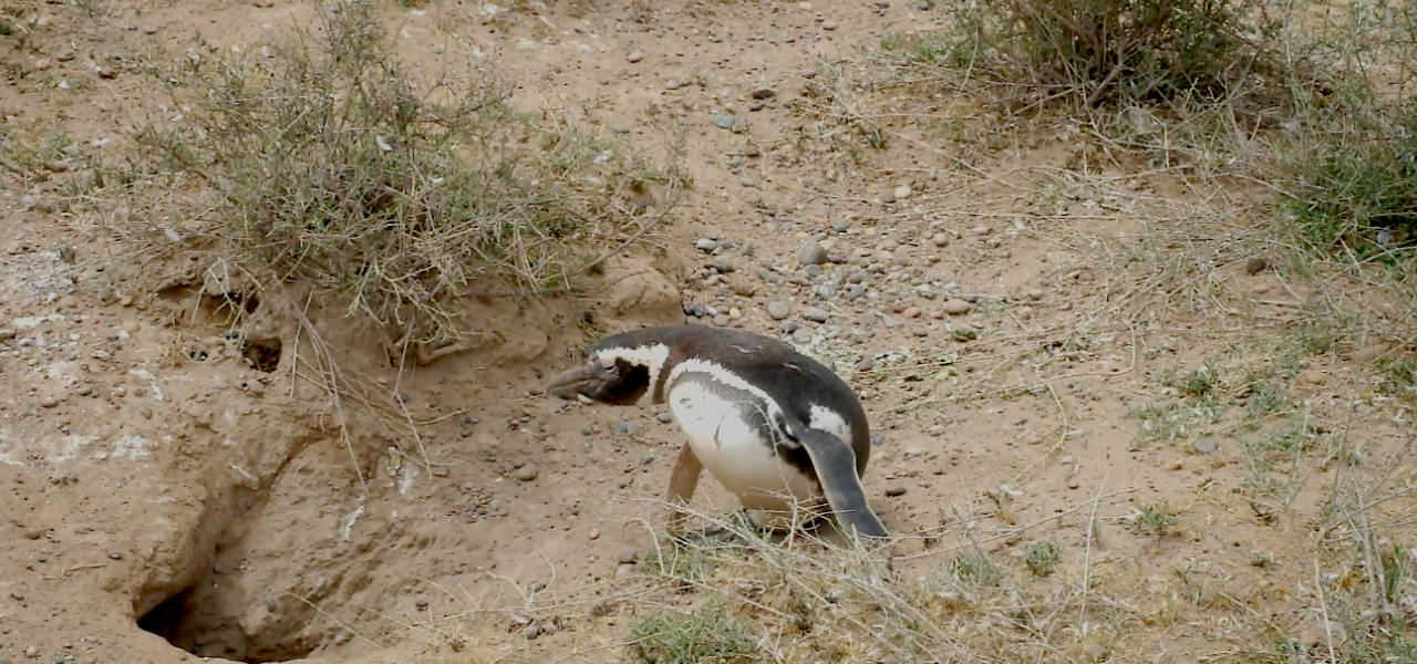 Bildschirmfoto 2012-11-04 um 04.43.53.png