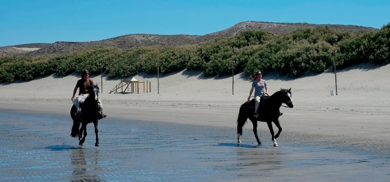 Bildschirmfoto 2012-11-04 um 04.57.35.jpg