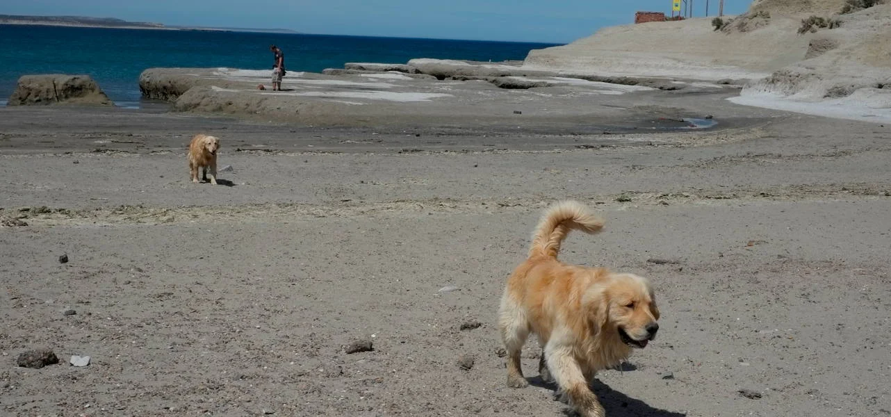 Bildschirmfoto 2012-11-04 um 04.57.16.jpg