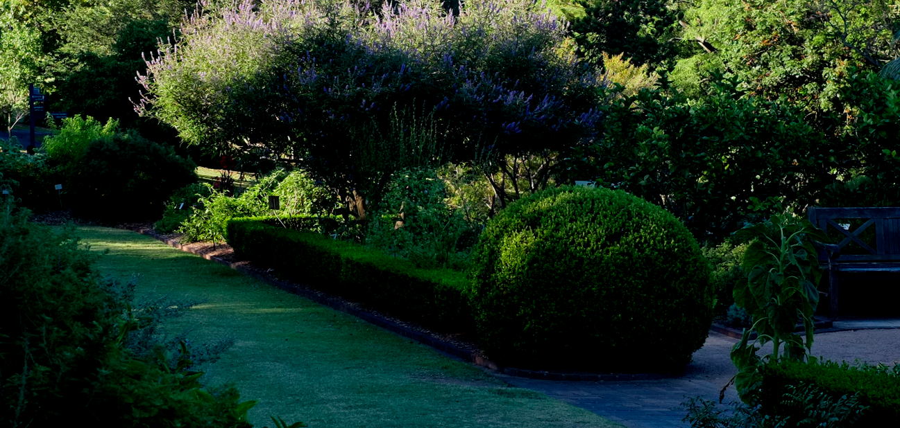 Bildschirmfoto 2013-01-03 um 12.32.05.png