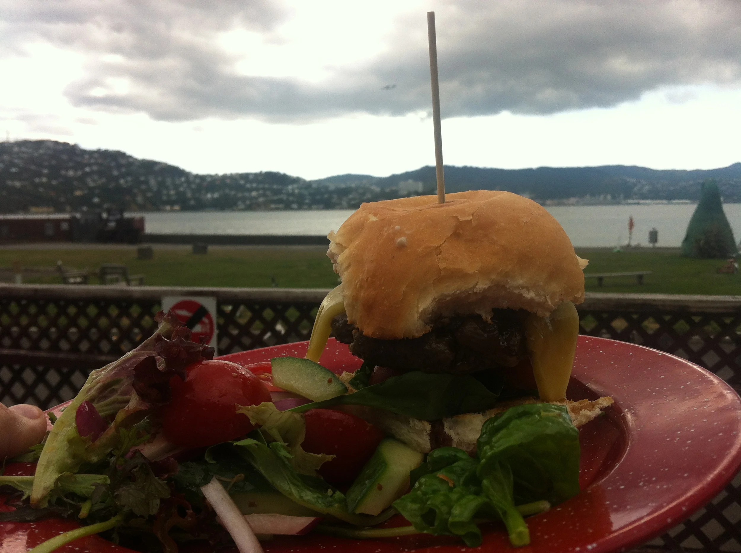 2013-02-13 16.31.47.jpg