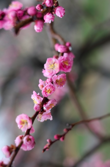 Bildschirmfoto 2013-03-22 um 18.34.01.png