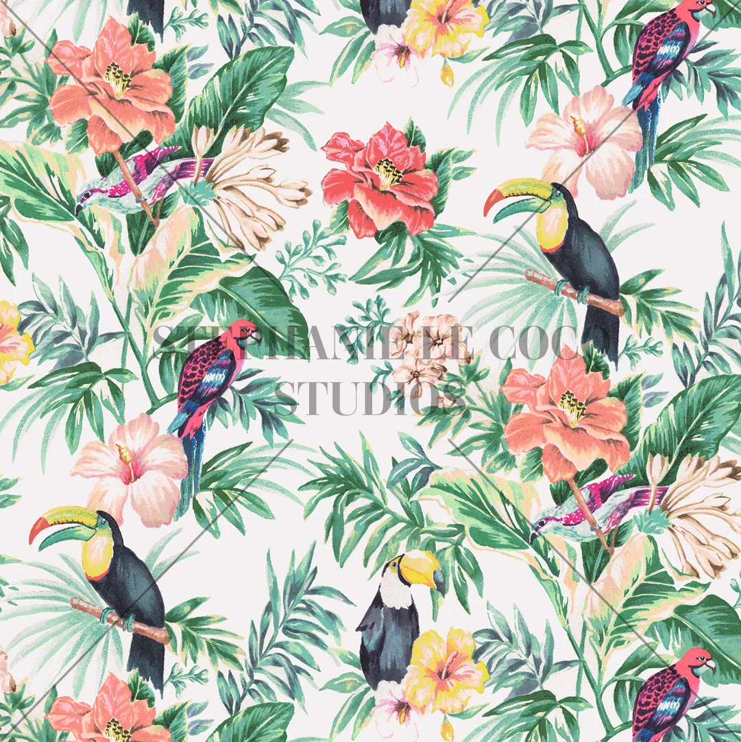 Birds in the Tropics