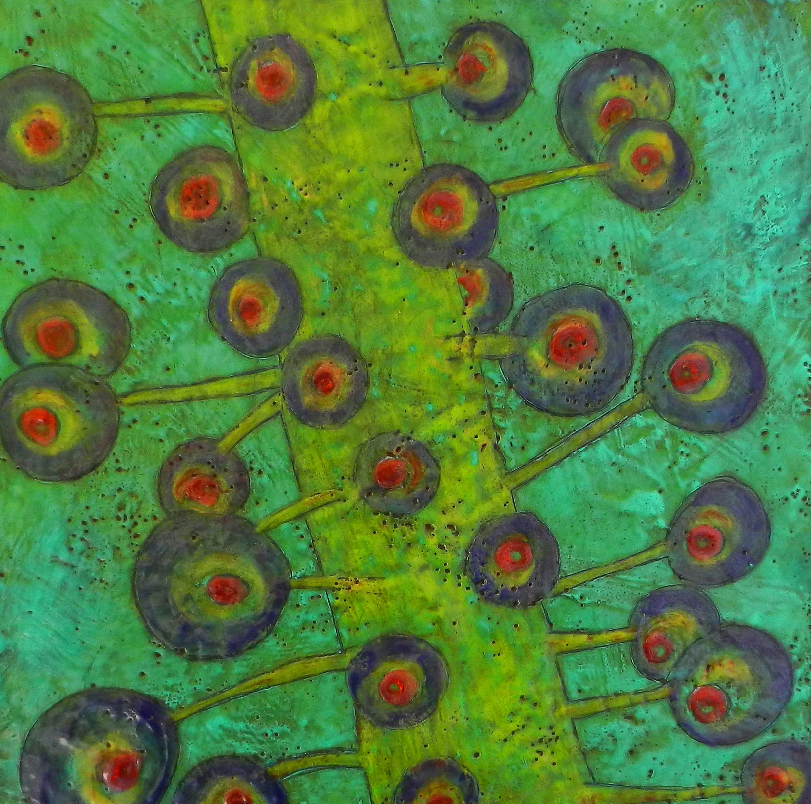 sundew 8.jpg