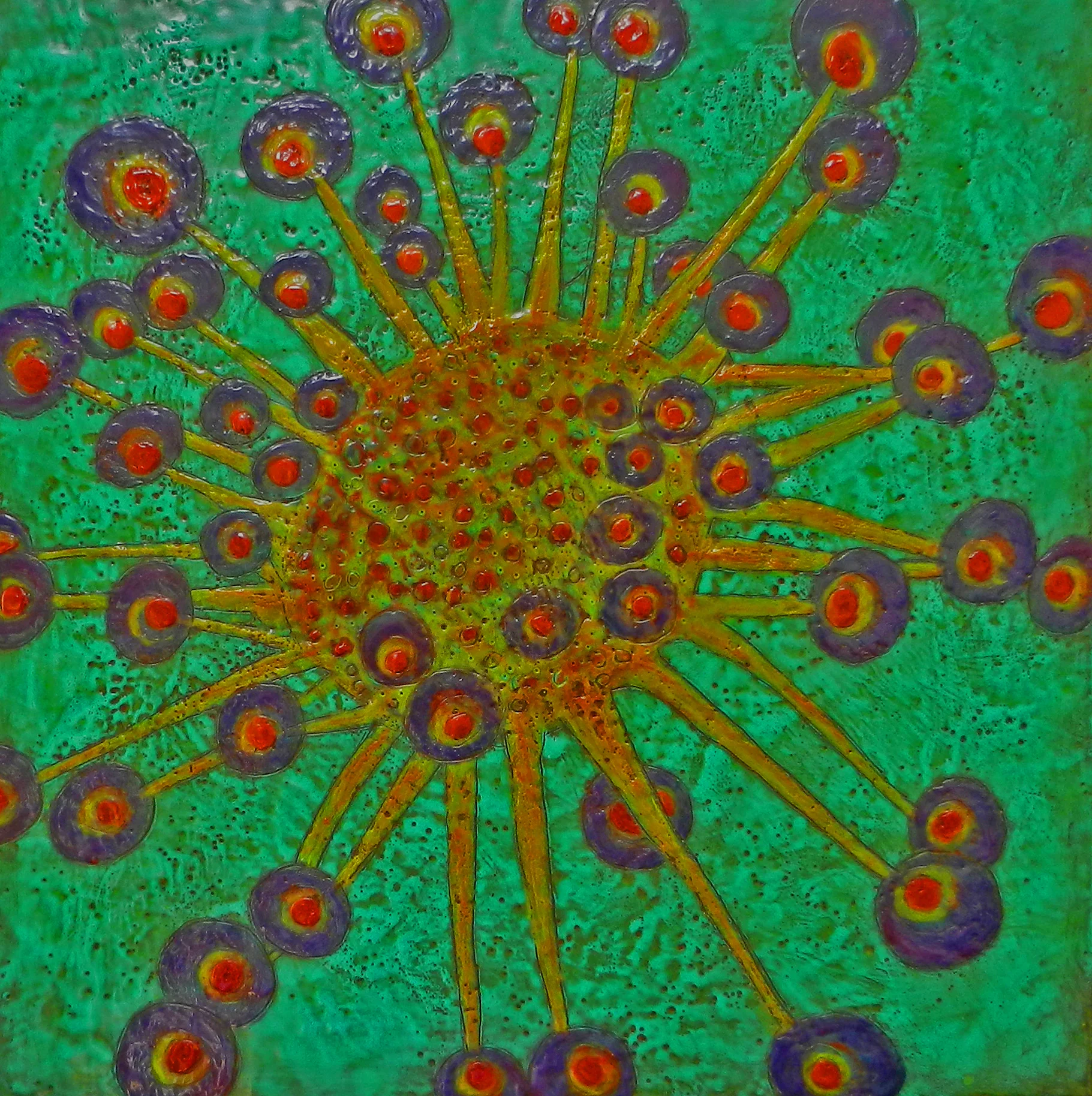 Sundew 7b.jpg