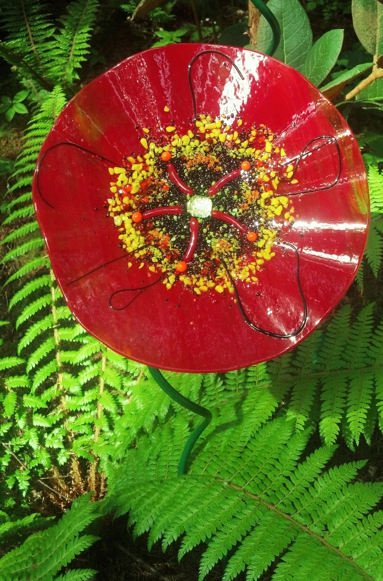 Anderson red flower with fern.jpg