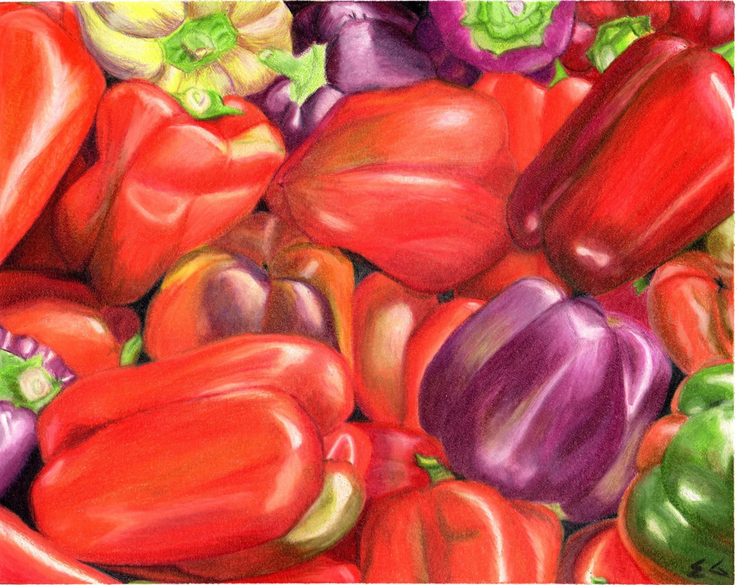 Ekta Gupta Colored Pencil 001.jpg