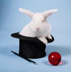 The Agile Project Manager—Voila: The Great Reveal 