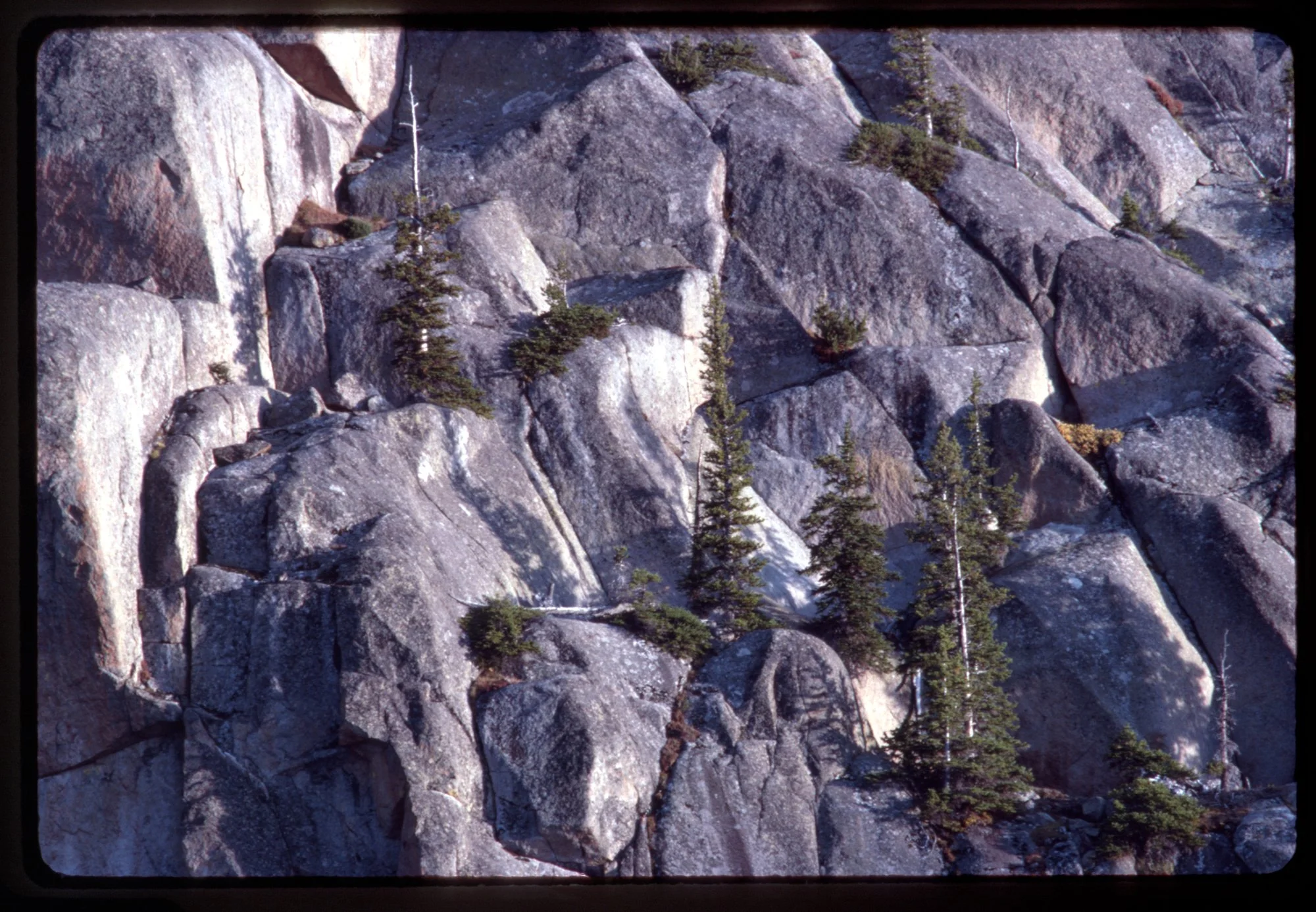 TRAY_##_1987_FRAME_10_CAPTION.jpg