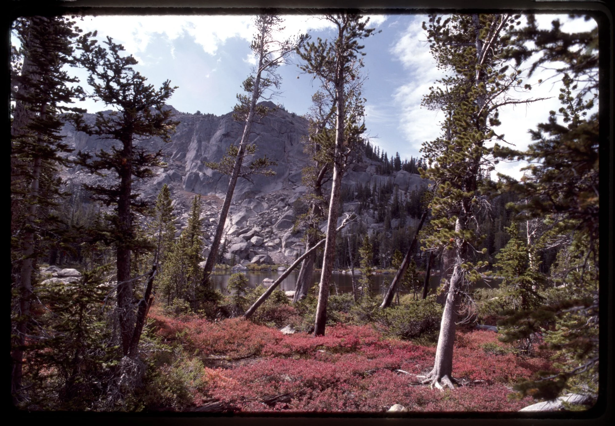 TRAY_##_1987_FRAME_20_CAPTION.jpg