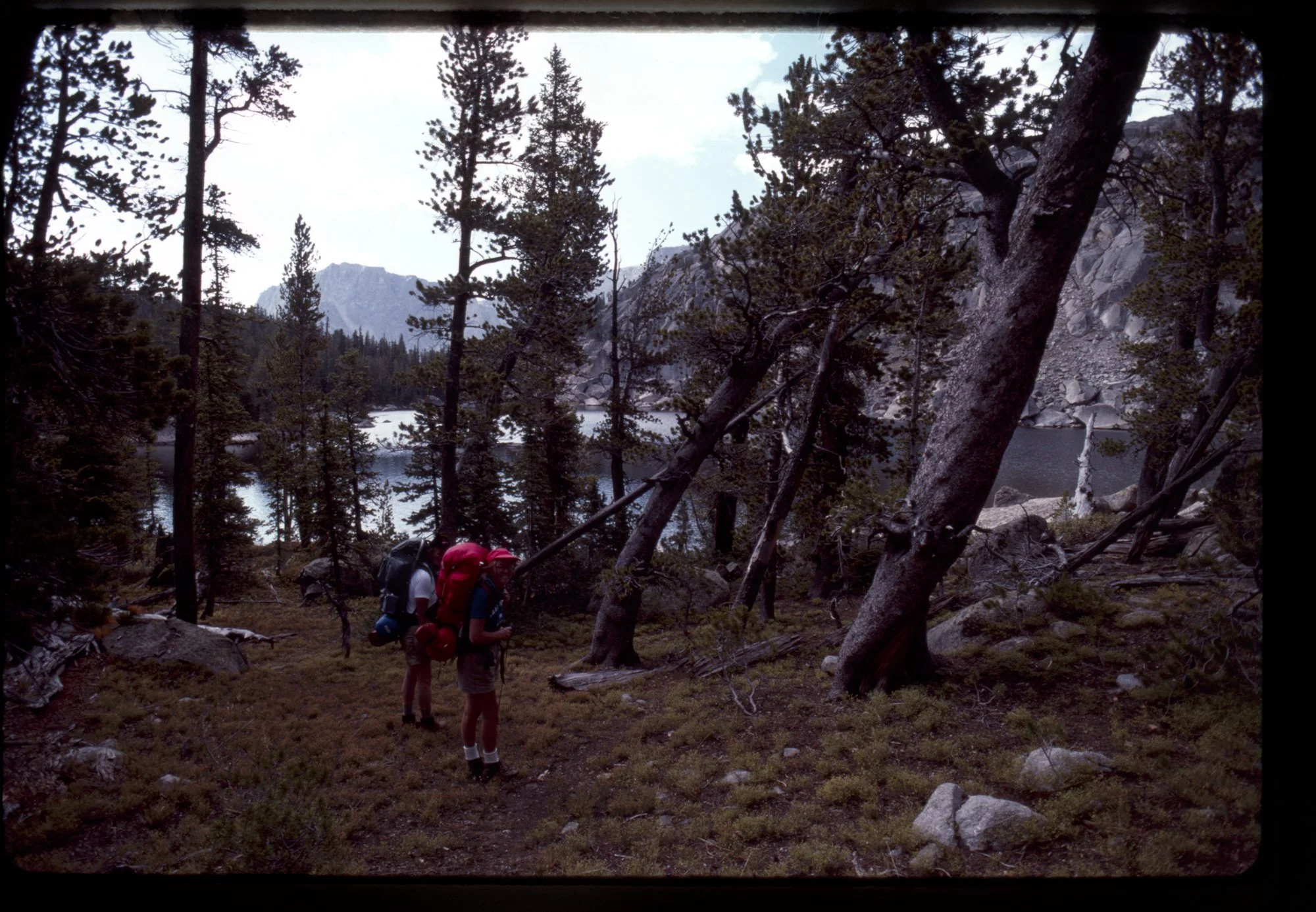 TRAY_##_1987_FRAME_21_CAPTION.jpg