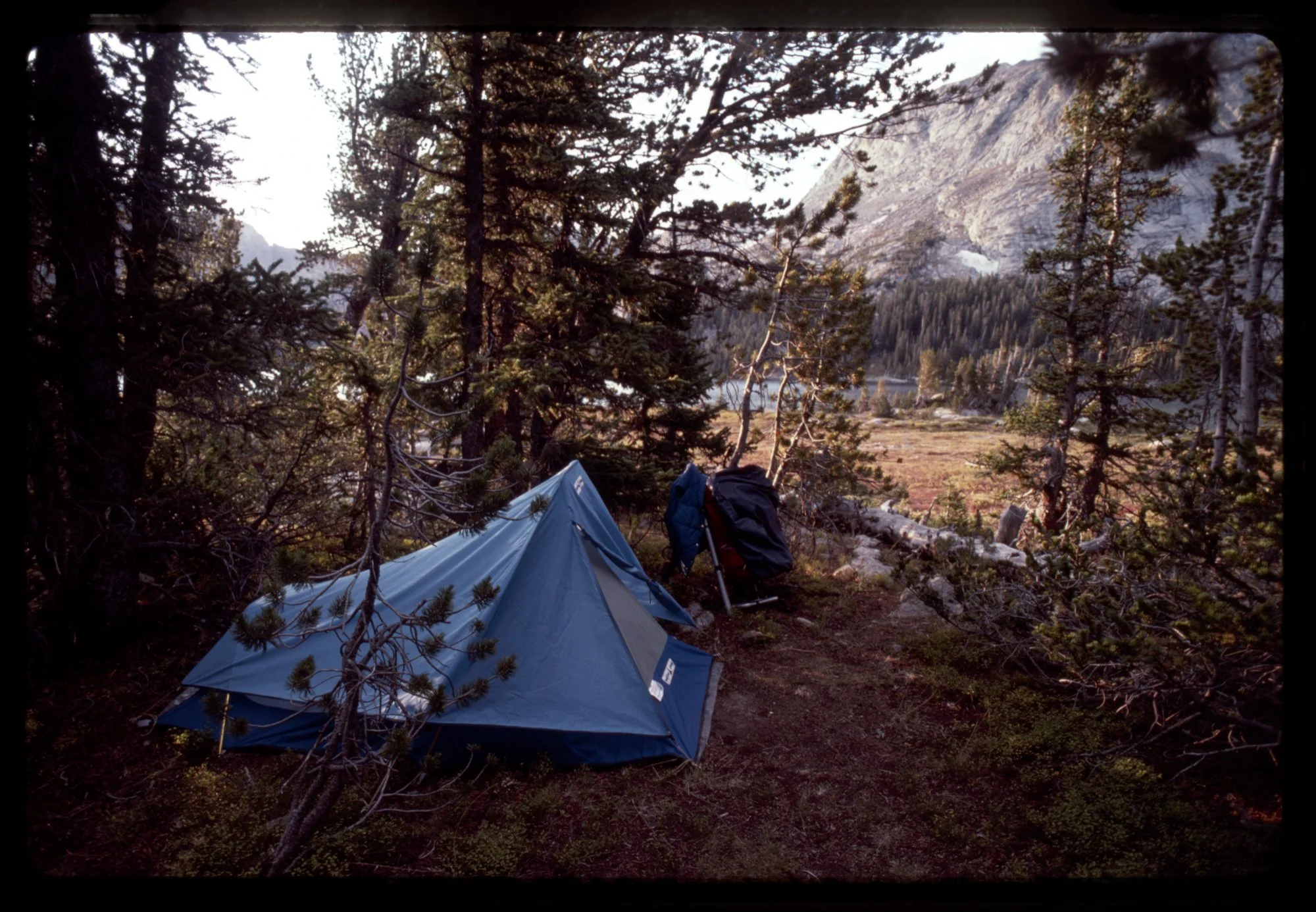 TRAY_##_1987_FRAME_39_CAPTION.jpg