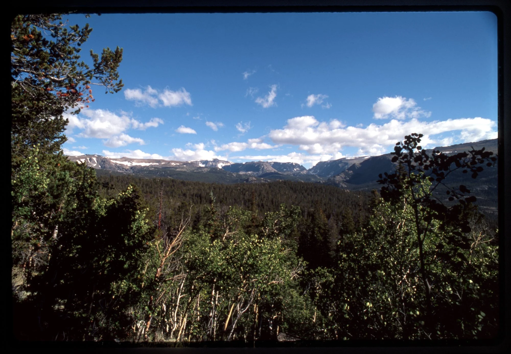 TRAY_##_1995_FRAME_06_CAPTION.jpg
