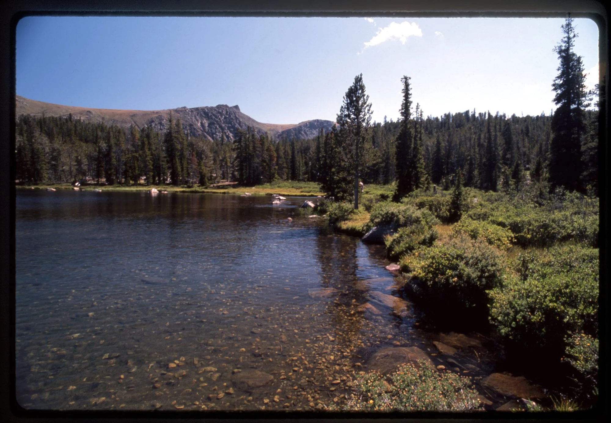 TRAY_##_1995_FRAME_18_CAPTION.jpg