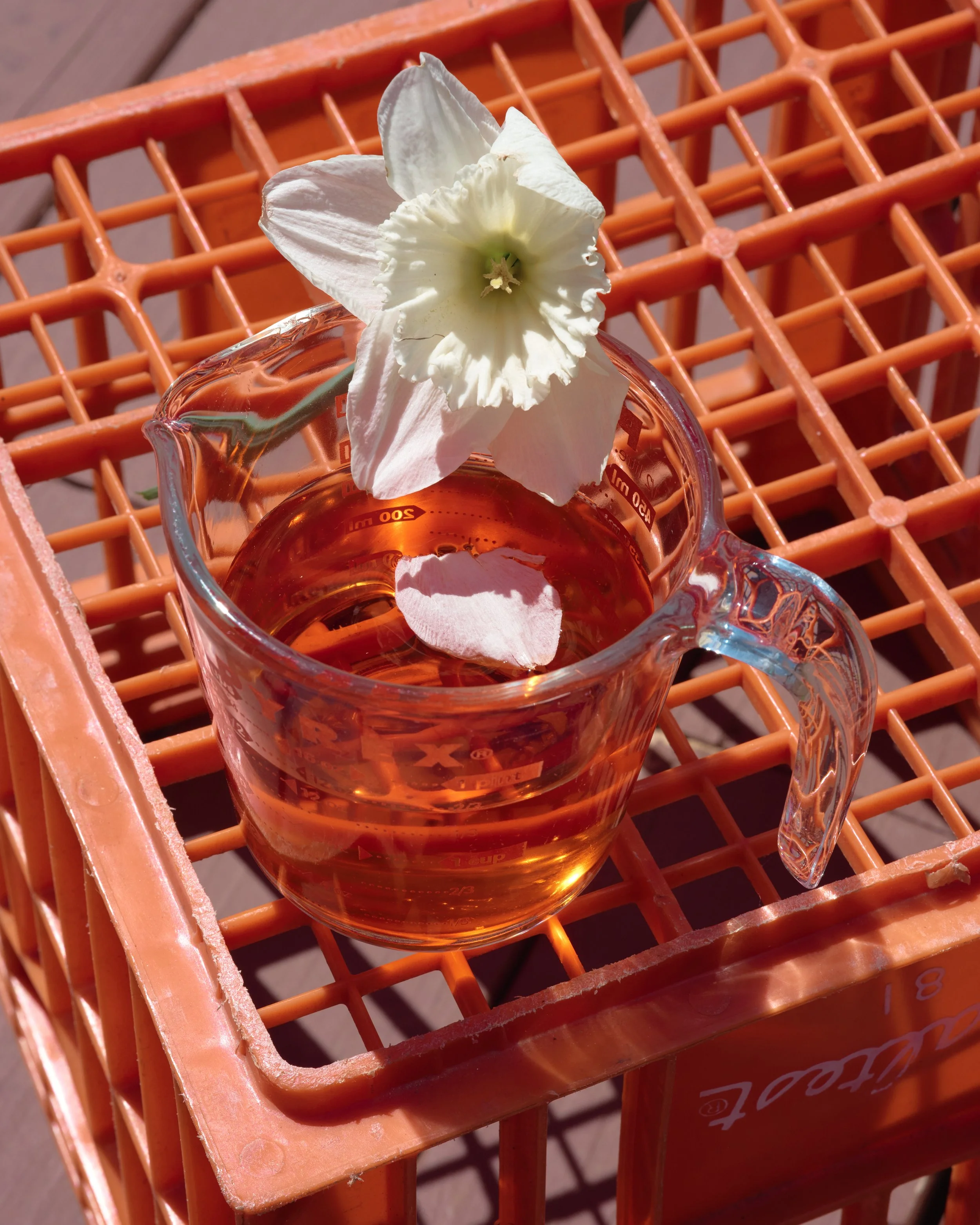 20200416_GFX50r_FlowerRed_018.jpg
