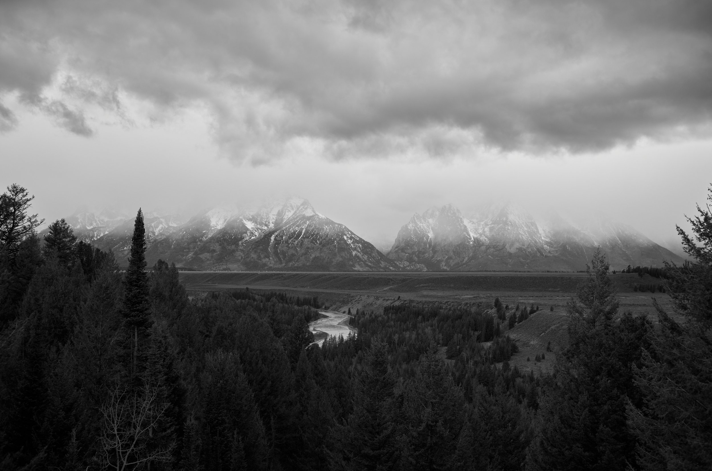 20251104_M10monochrom_Jackson Wyoming_0123.jpg