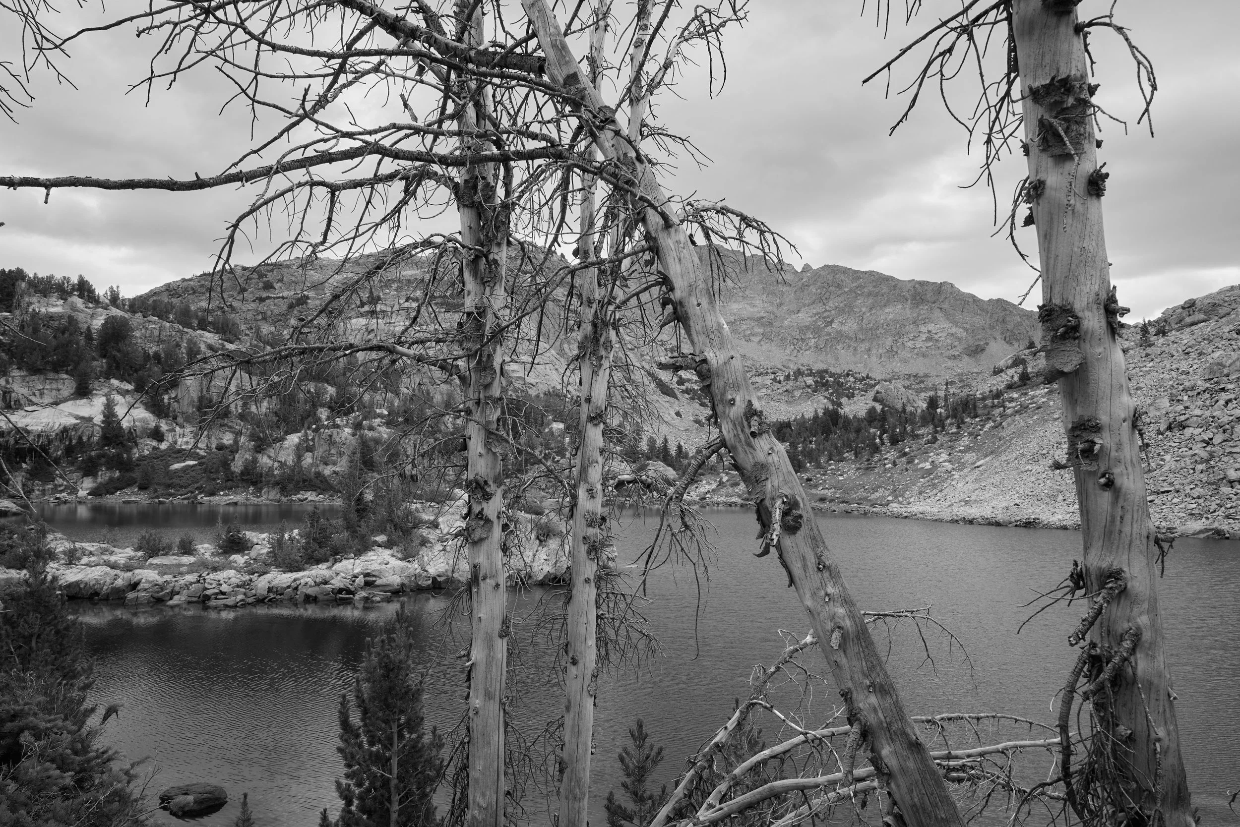 20230827_Q2_WYOMING_0500.jpg