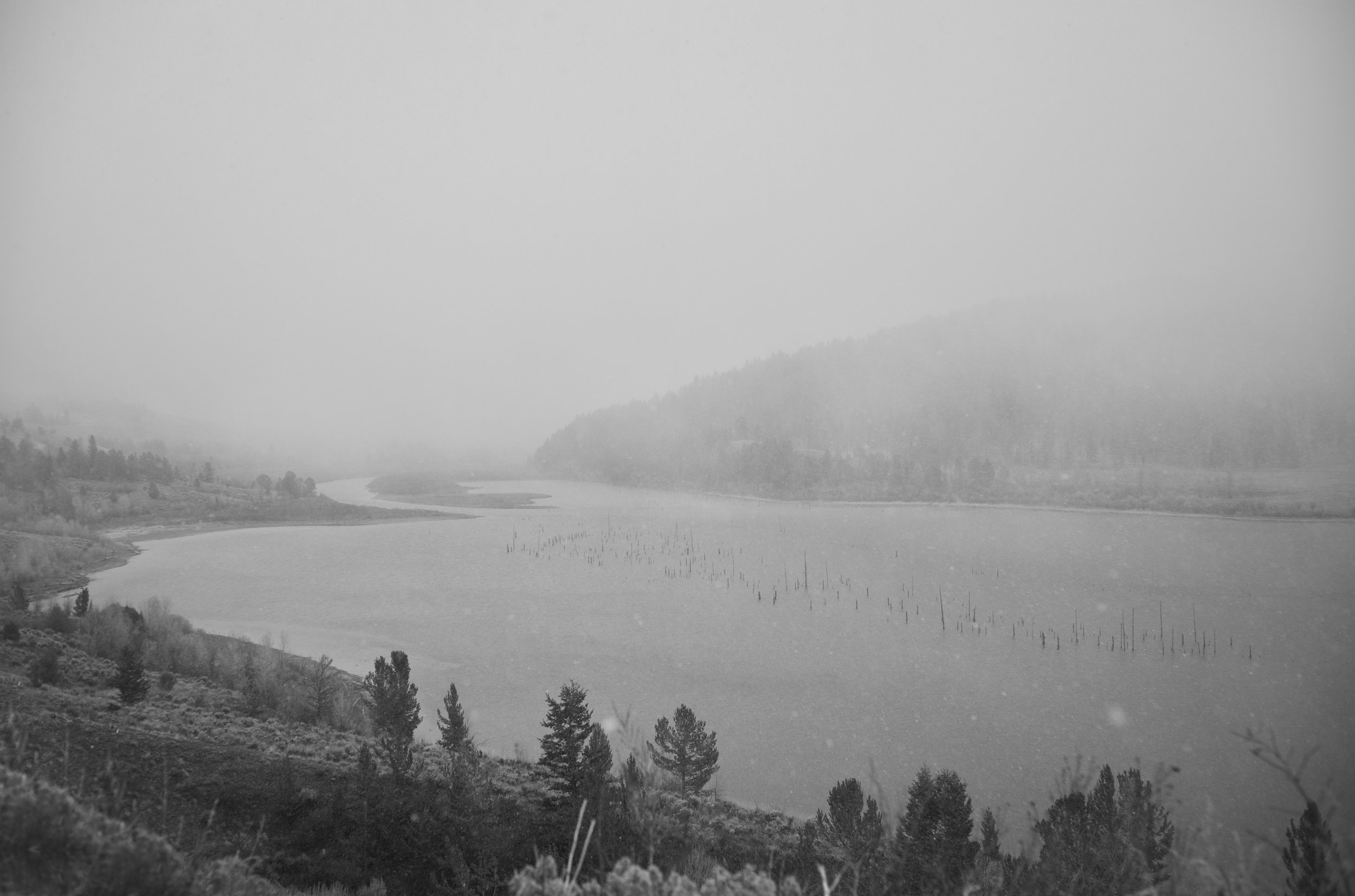 20251106_M10monochrom_Wyoming_0159.jpg